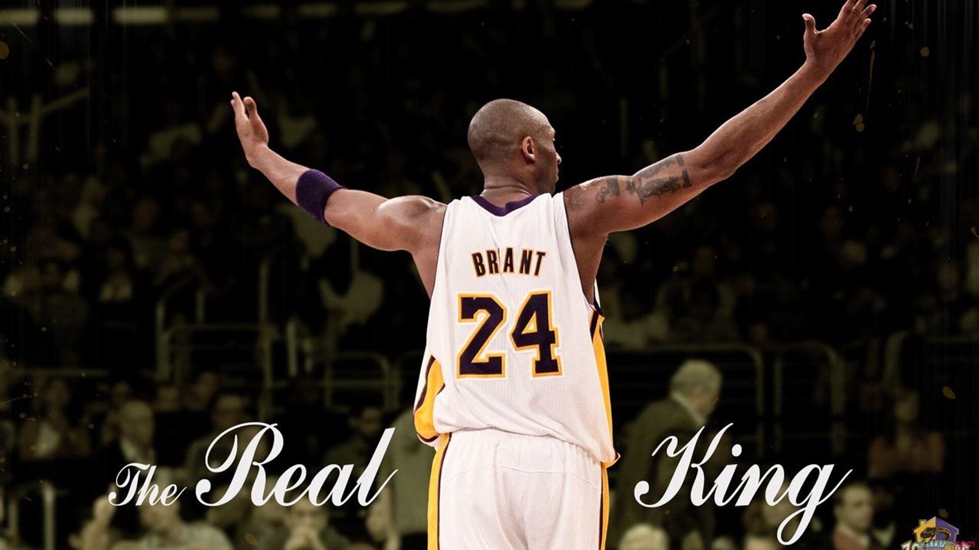 _森林狼迎来反弹，球队士气大增_，森林狼近况